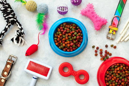 How Online Shopping for Pet Supplies Has Changed in Recent Years