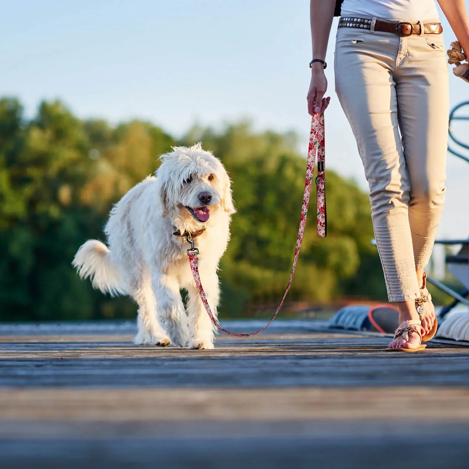 Leashes