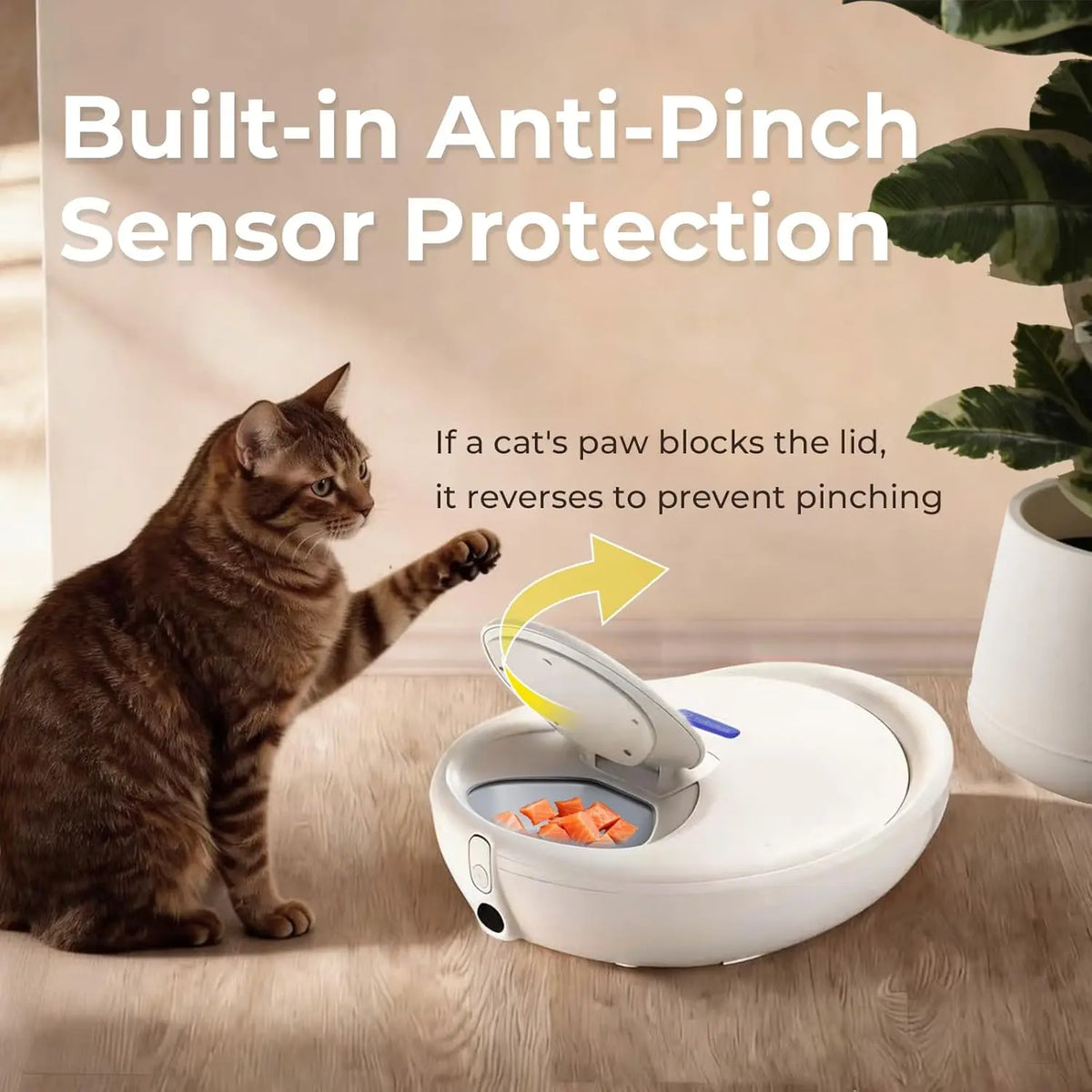 Robotail 2026 Upgraded Smart Wet Food Automatic Cat Feeder, Dual-Temp Refrigerated Auto Feeder with Semiconductor Cooling & Pre-