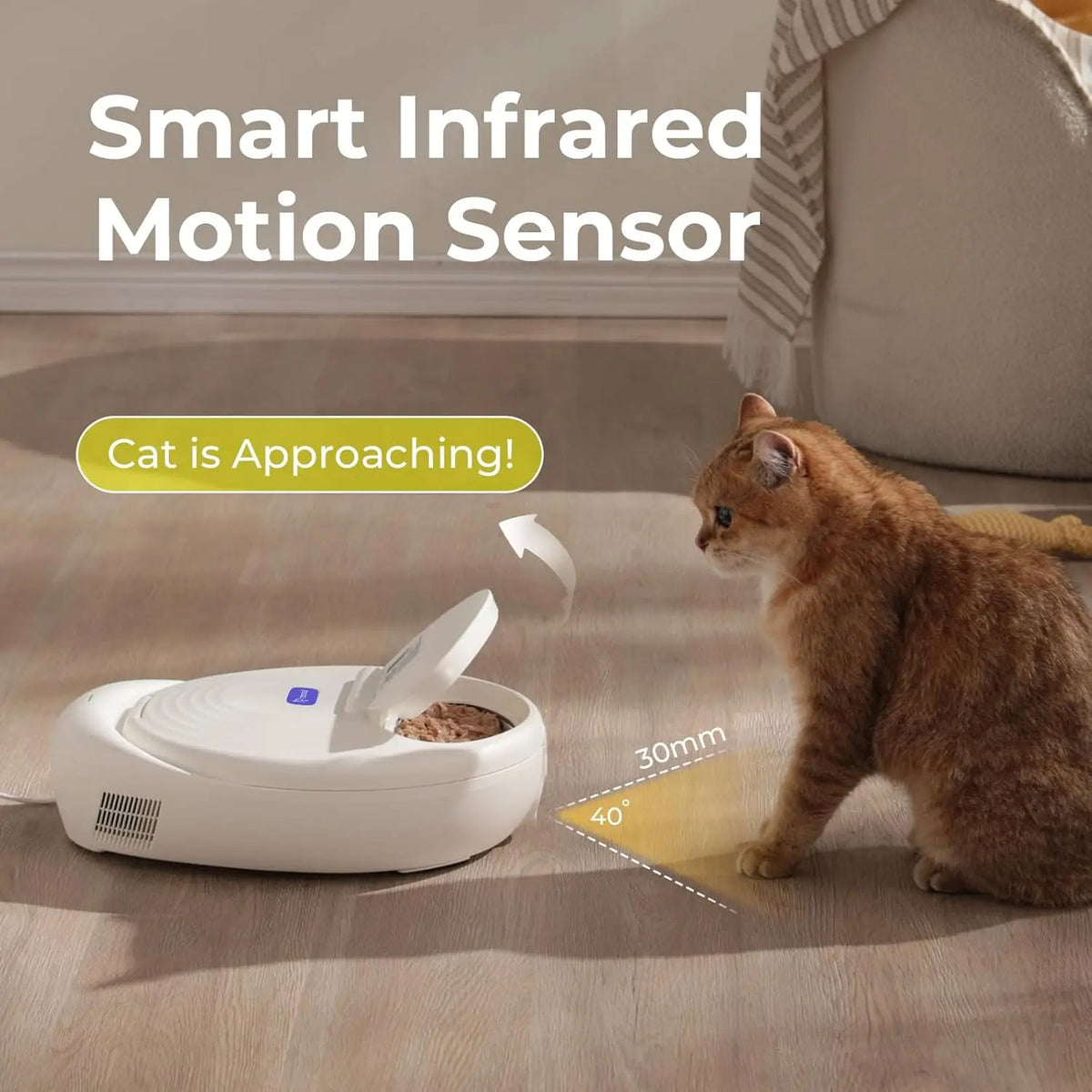 Robotail 2026 Upgraded Smart Wet Food Automatic Cat Feeder, Dual-Temp Refrigerated Auto Feeder with Semiconductor Cooling & Pre-