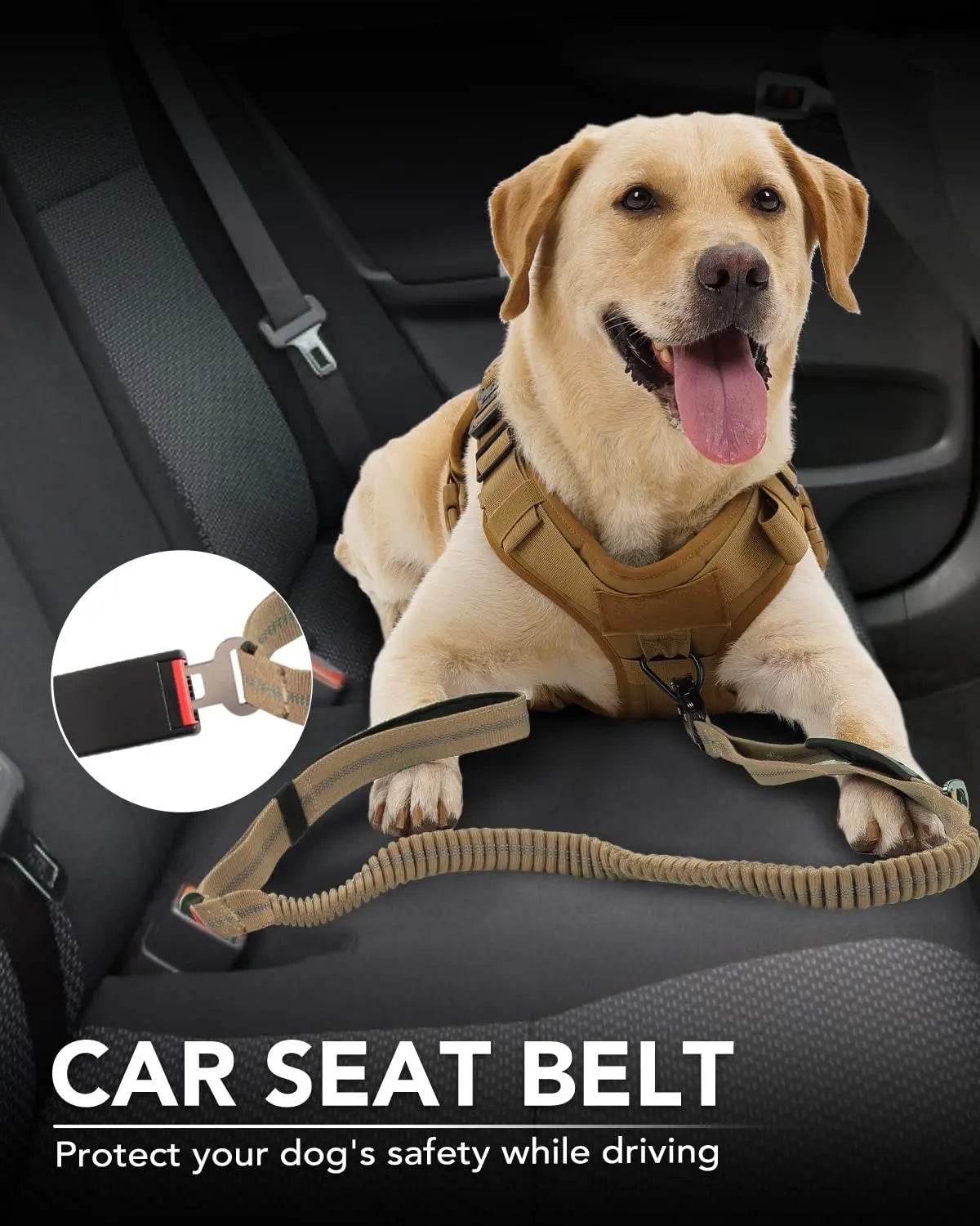 Military-Grade Tactical Dog Collar with Handle Heavy Duty Collar for Medium and Large Dogs Provides Ultimate Control
