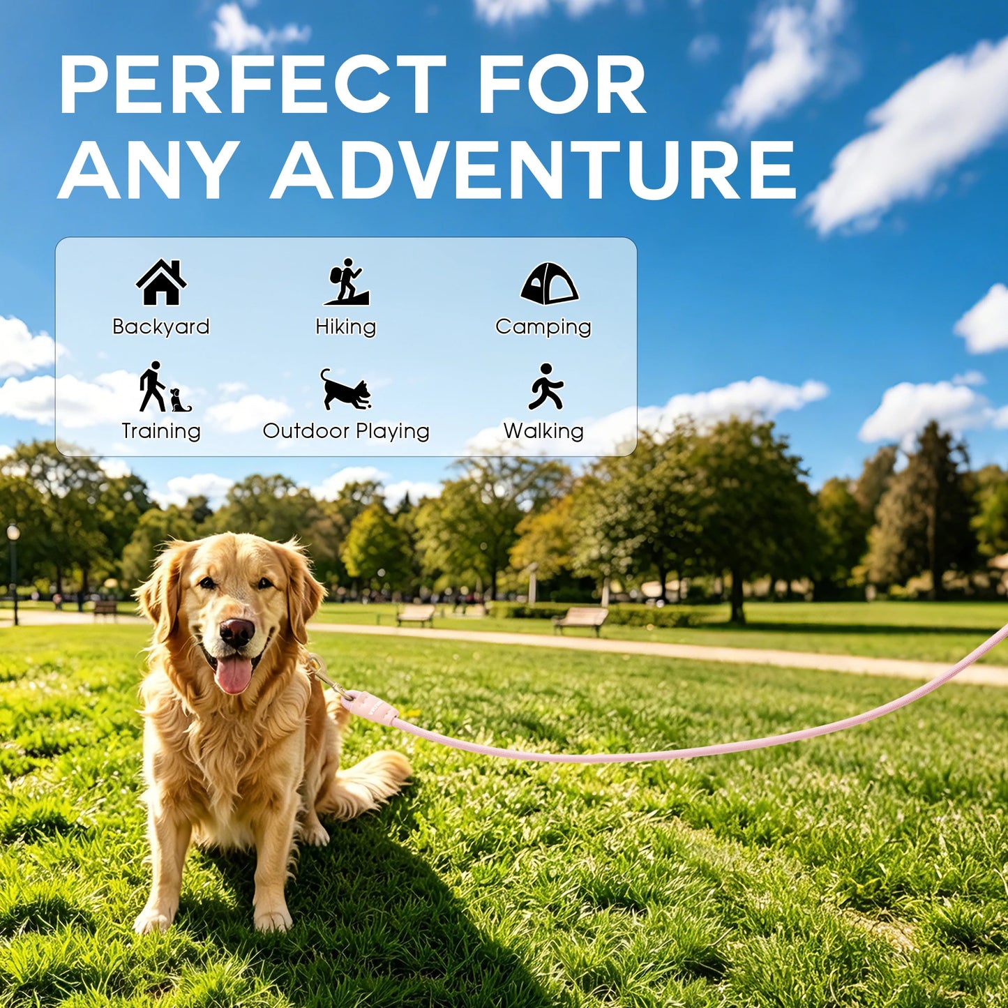Robust Heavy Duty Double Dog Leash for 2 Dogs Anti-Slip Training Pet Leash for Outdoor Activities 2 Carabiners