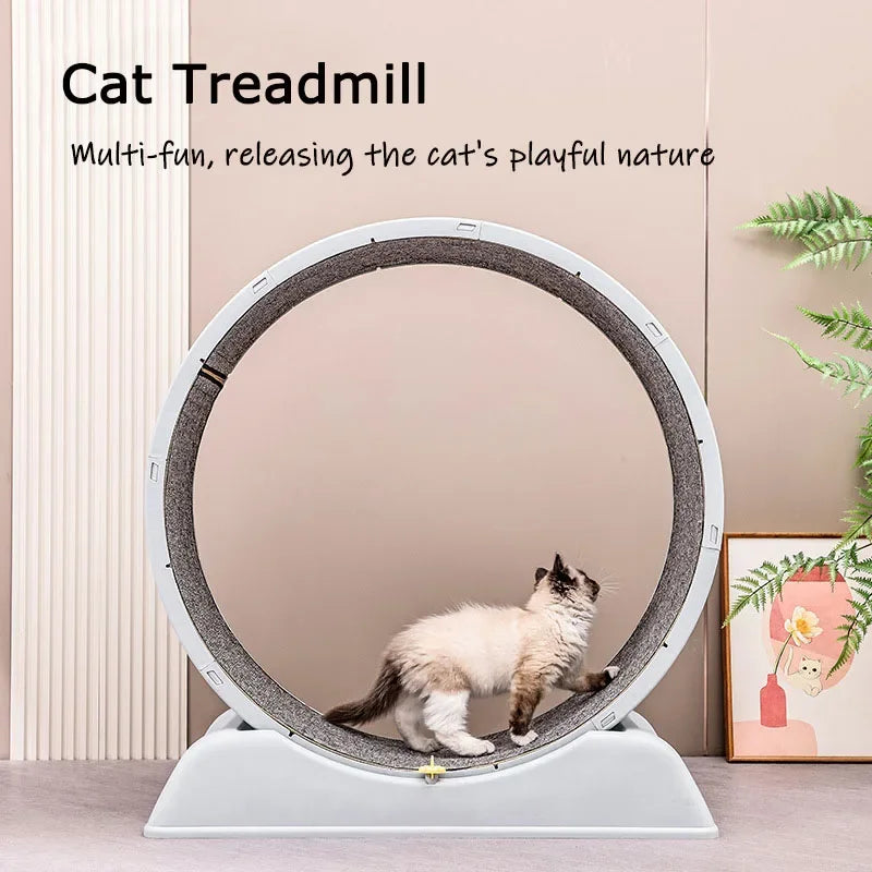 Silent Cat Treadmill Running Wheel Large Pet Supplies Anti Pinch Foot Exercise Fitness Roller Cat Climbing Frame Dog Toy