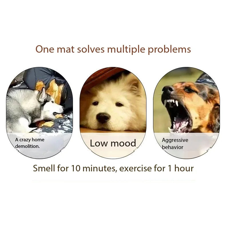 Exercise your dog's nose sniffing ability to eliminate anxiety Pet sniffing pad
