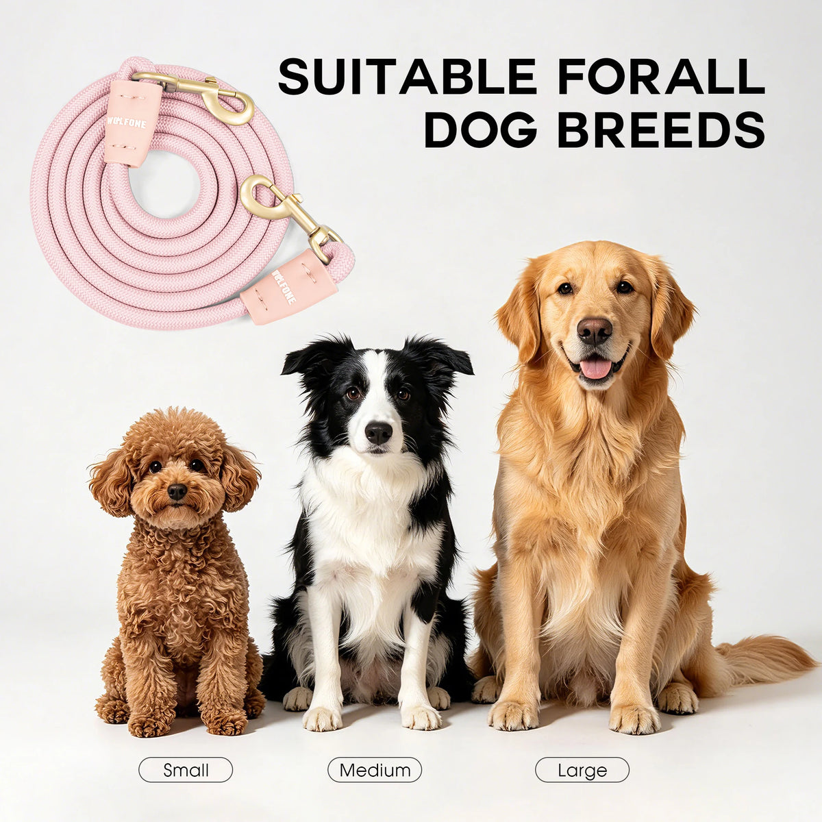 Robust Heavy Duty Double Dog Leash for 2 Dogs Anti-Slip Training Pet Leash for Outdoor Activities 2 Carabiners