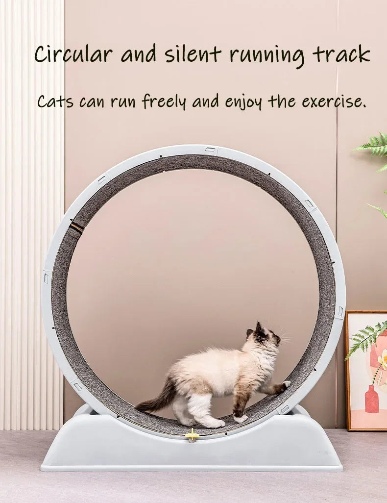 Silent Cat Treadmill Running Wheel Large Pet Supplies Anti Pinch Foot Exercise Fitness Roller Cat Climbing Frame Dog Toy